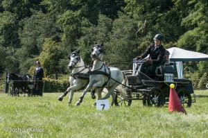 dressuur en vaardigheid  nienoord 10-8-2015  joshua keller-0197     